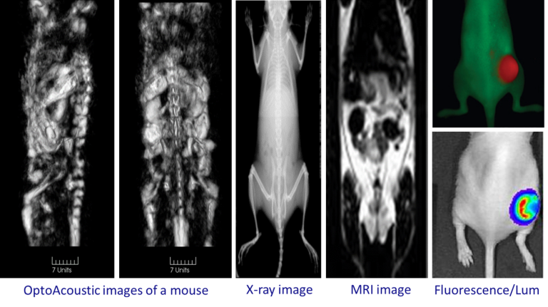 Why Every Biomedical Imaging Research Center Should Upgrade to the Latest Optoacoustic Technology Combined with Ultrasound